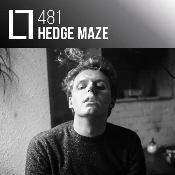 481 - Hedge Maze